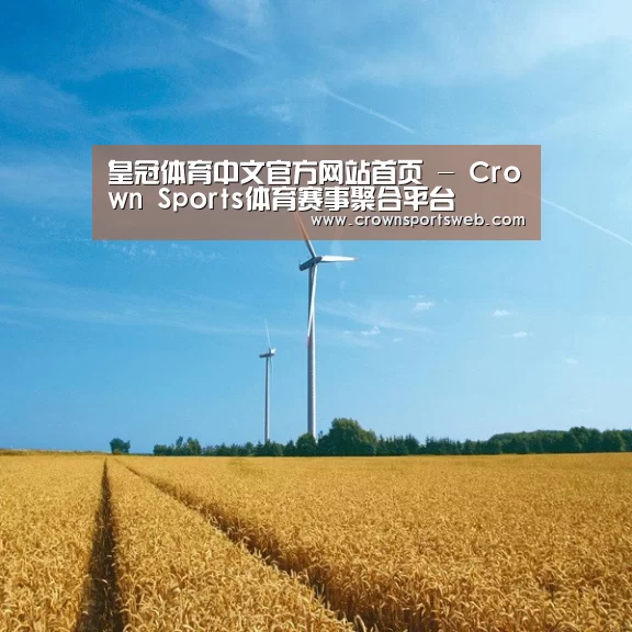 风能