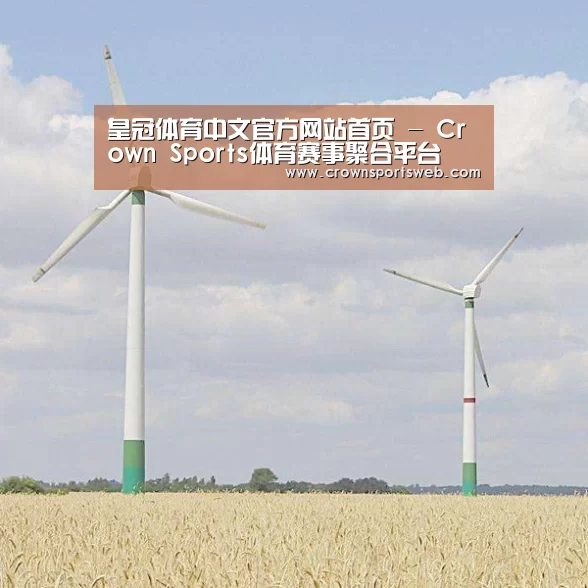 风能