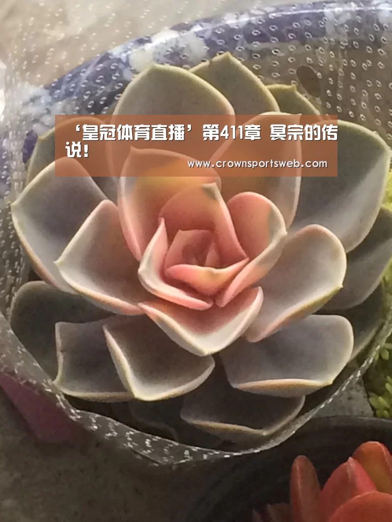 ‘皇冠体育直播’第411章 冥宗的传说!(图1) 皇冠体育直播