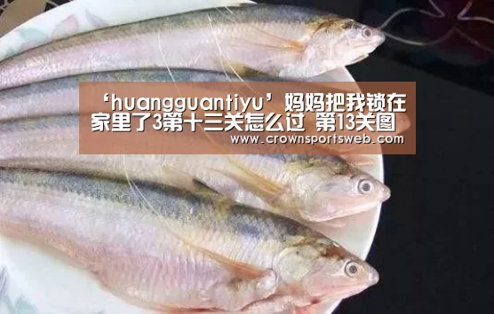 ‘huangguantiyu’妈妈把我锁在家里了3第十三关怎么过 第13关图文攻略(图1) 皇冠体育直播