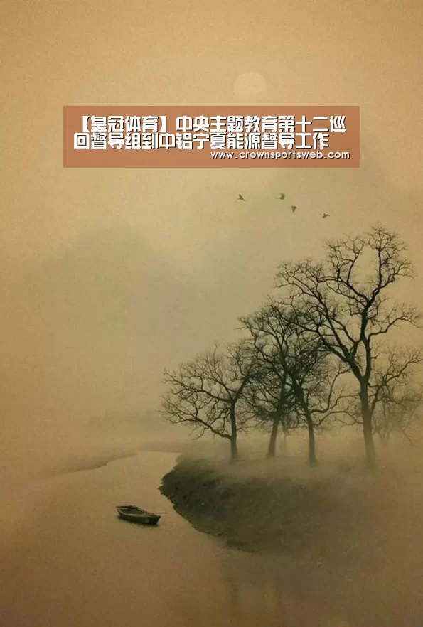 【皇冠体育】中央主题教育第十二巡回督导组到中铝宁夏能源督导工作(图4) 皇冠体育官网